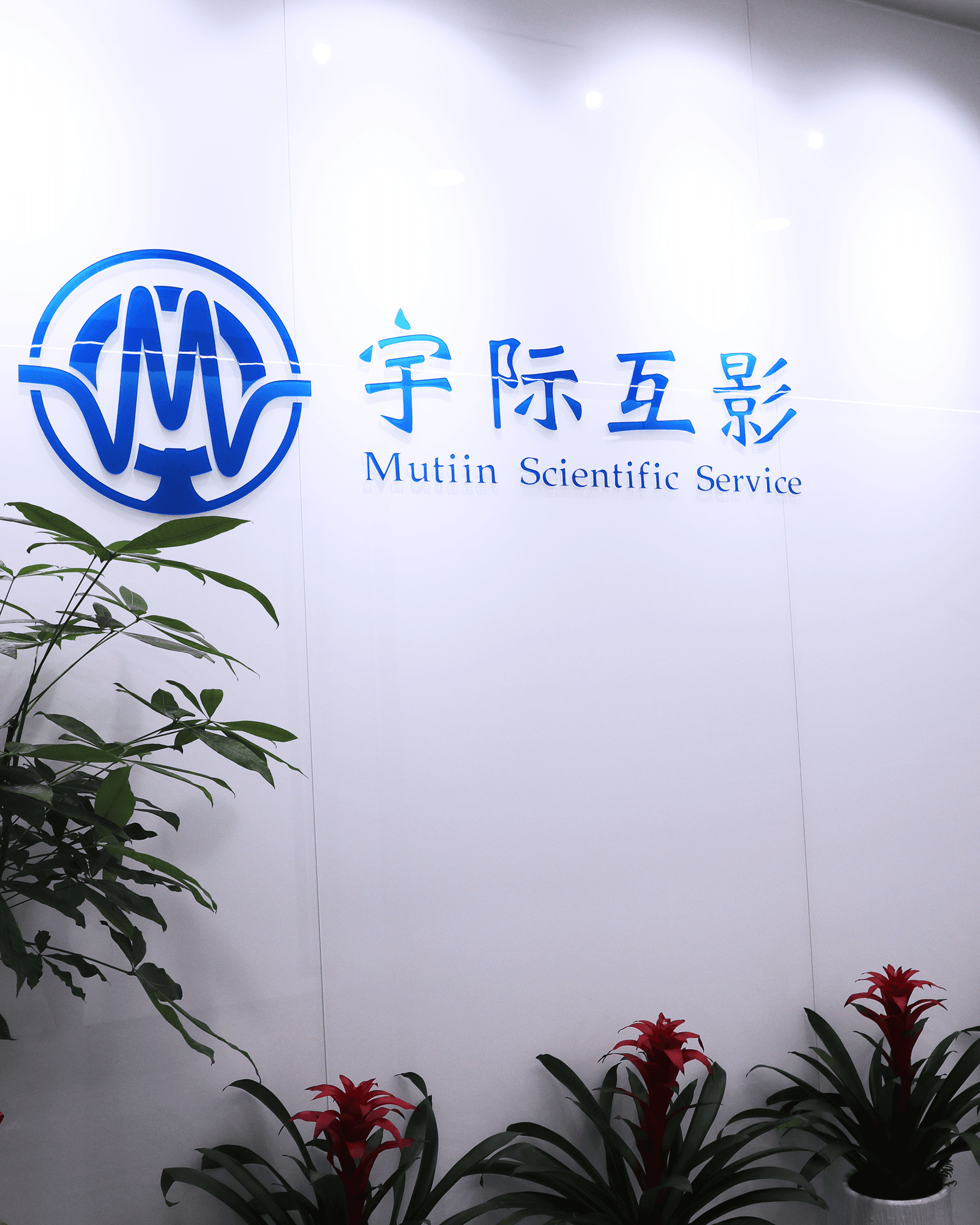 Mutiin workspace
